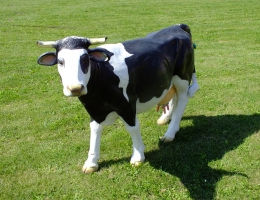 sztuczna krowa